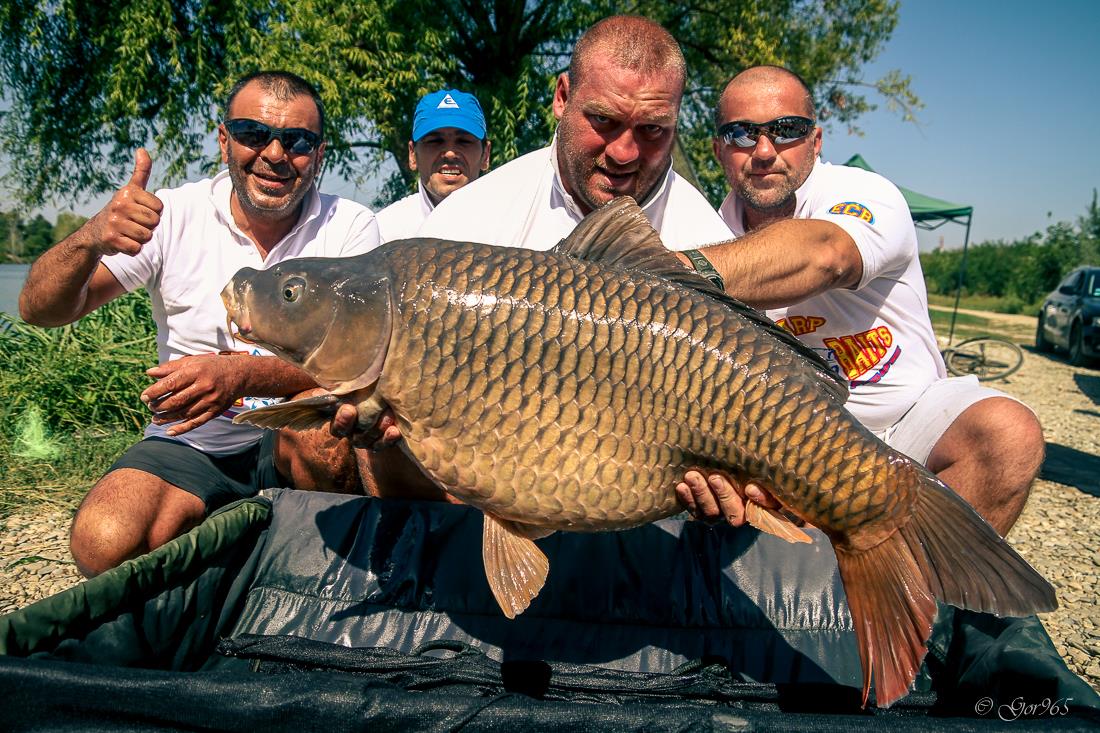 Jurnalul lui gor965: O surpriza 